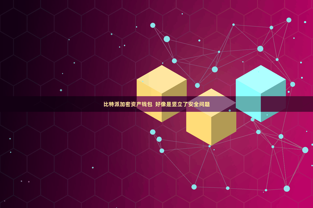 比特派加密资产钱包 好像是竖立了安全问题