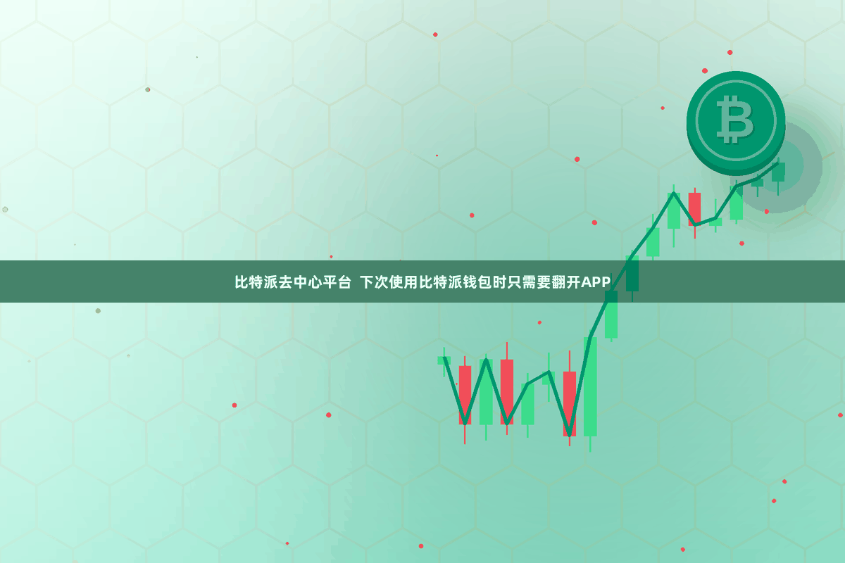 比特派去中心平台  下次使用比特派钱包时只需要翻开APP